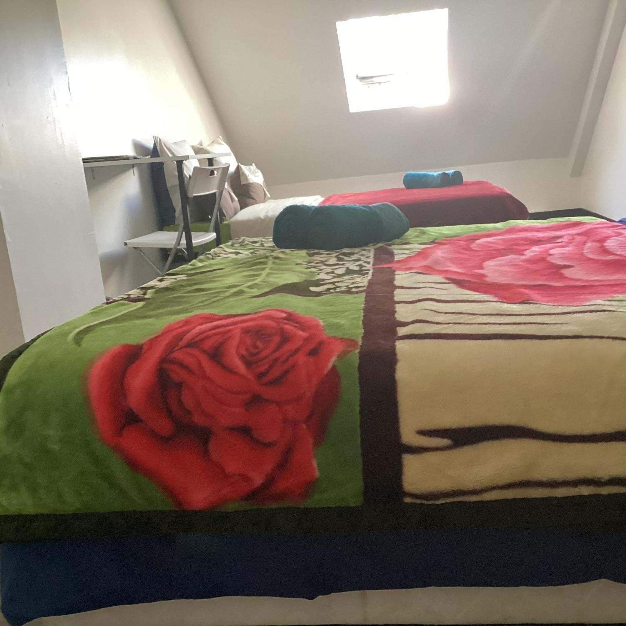 Les Agapanthes Du 27 -Eme Daire Le Tampon Dış mekan fotoğraf